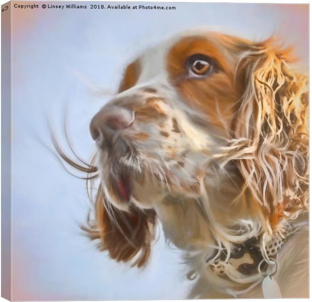 English Springer Spaniel  Canvas Print by Linsey Williams