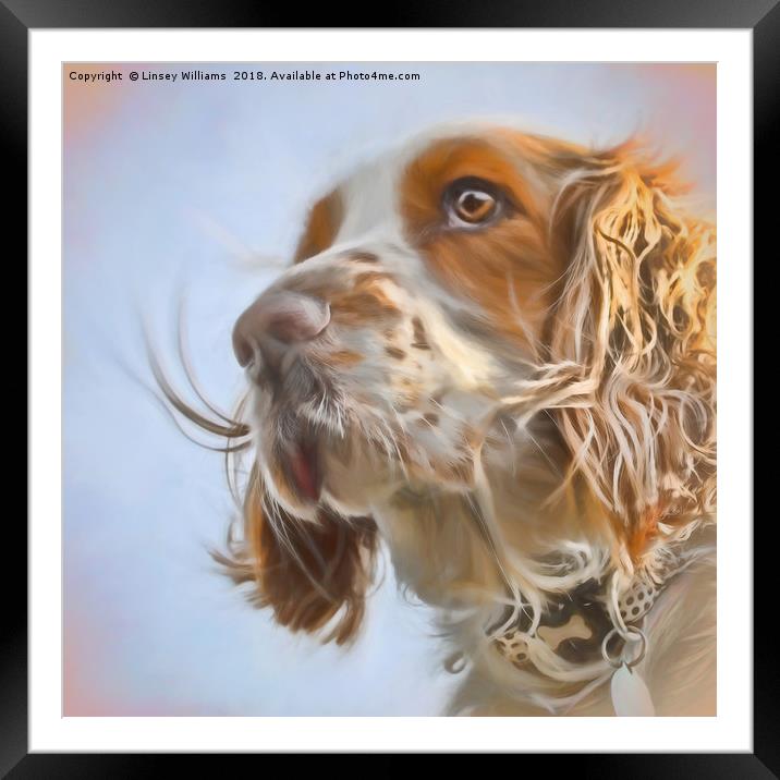 English Springer Spaniel  Framed Mounted Print by Linsey Williams
