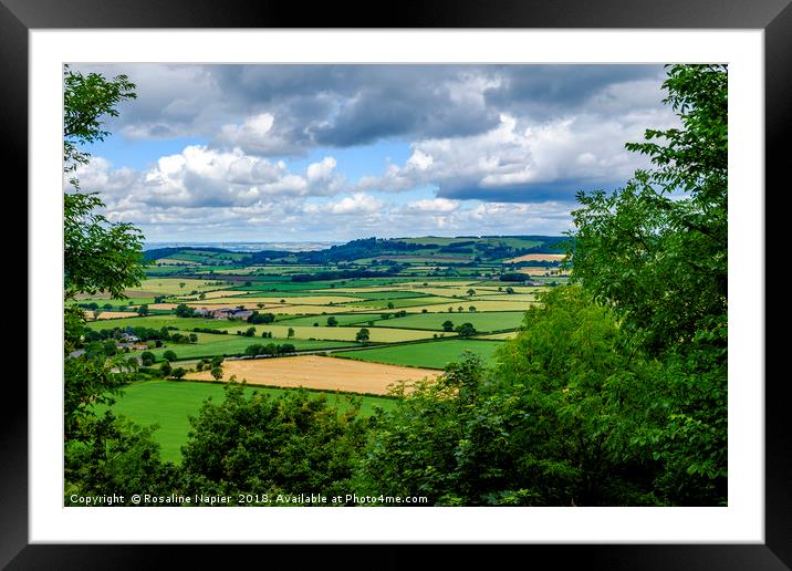 North Yorkshire rural landscape Framed Mounted Print by Rosaline Napier