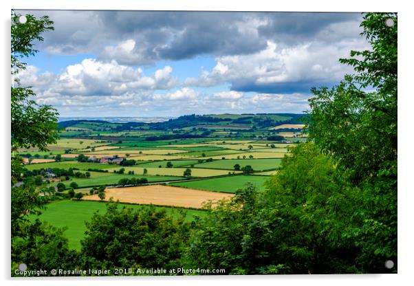 North Yorkshire rural landscape Acrylic by Rosaline Napier