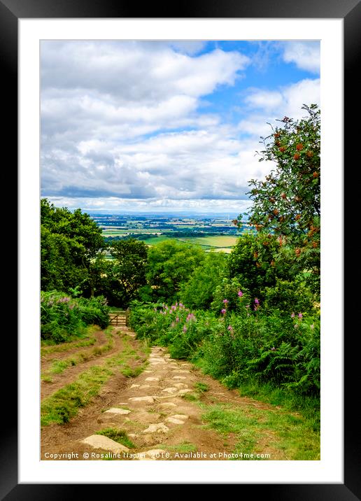 Roseberry Topping footpath Framed Mounted Print by Rosaline Napier