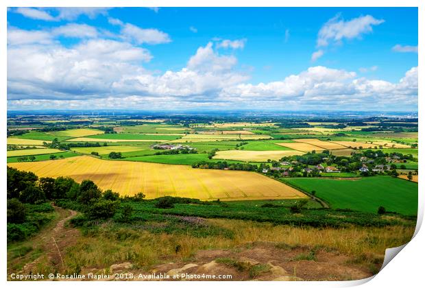 View from hills down to North Yorkshire rural land Print by Rosaline Napier