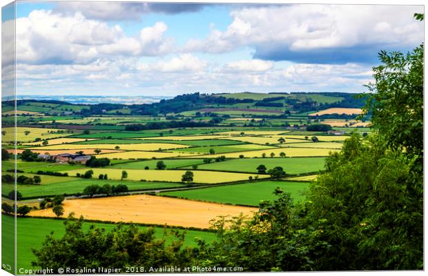 North Yorkshire countryside landscape Canvas Print by Rosaline Napier