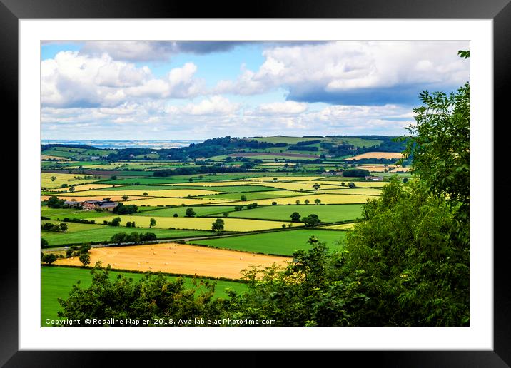 North Yorkshire countryside landscape Framed Mounted Print by Rosaline Napier