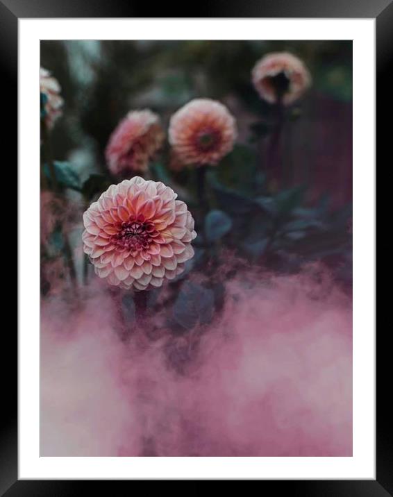 Pink Haze Framed Mounted Print by Gabriella Dooey