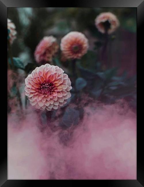 Pink Haze Framed Print by Gabriella Dooey
