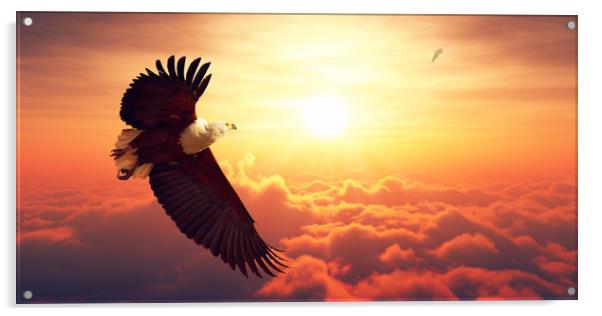 African Fish Eagle flying above clouds Acrylic by Johan Swanepoel