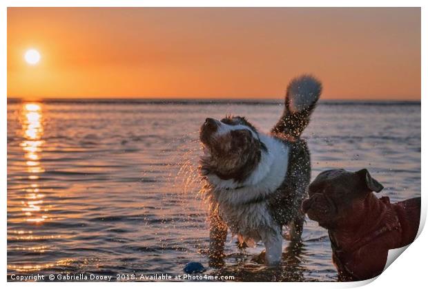 Sunset Pups Print by Gabriella Dooey