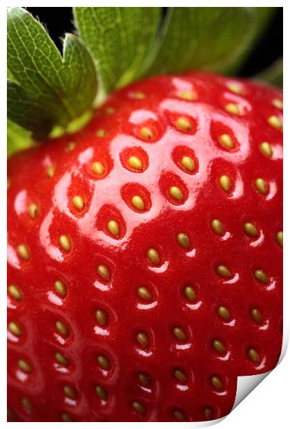 Fresh strawberry close-up Print by Johan Swanepoel