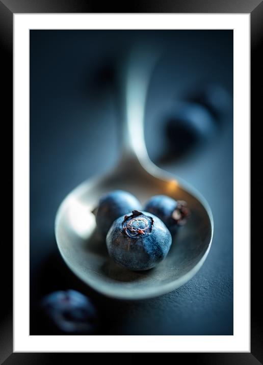 Blueberries Macro Still Life Framed Mounted Print by Johan Swanepoel