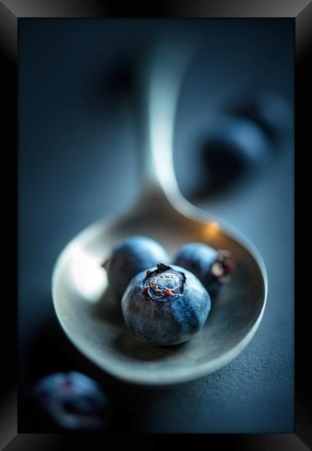 Blueberries Macro Still Life Framed Print by Johan Swanepoel