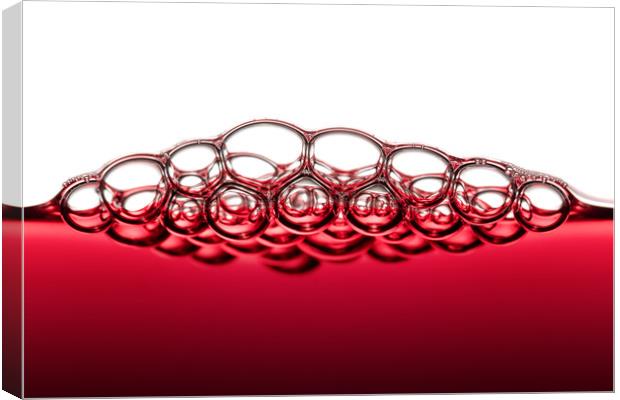 Red Wine Bubbles Canvas Print by Johan Swanepoel