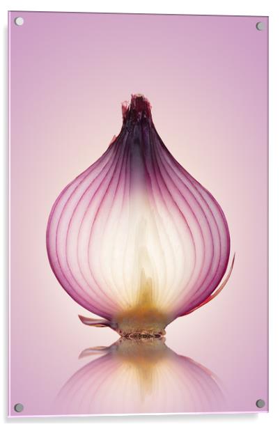 Red Onion Translucent Acrylic by Johan Swanepoel
