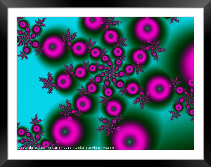 Pink orbs spiral digital art Framed Mounted Print by Rosaline Napier