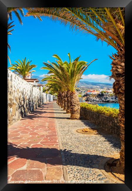 Sunny promenade in Alcala Tenerife Framed Print by Rosaline Napier