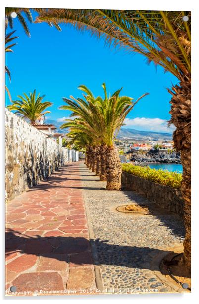 Sunny promenade in Alcala Tenerife Acrylic by Rosaline Napier