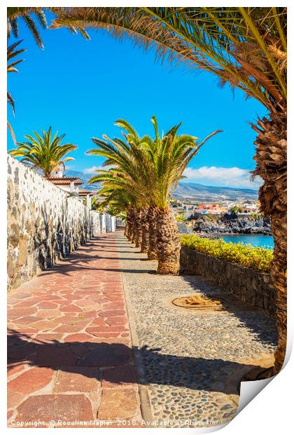 Sunny promenade in Alcala Tenerife Print by Rosaline Napier