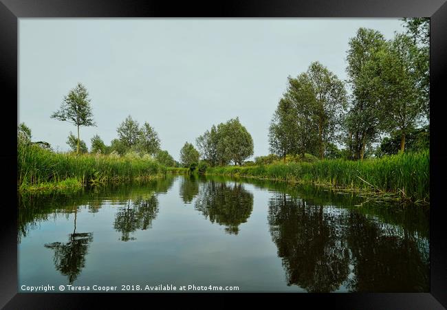 Paper Mill Lock, Essex  Framed Print by Teresa Cooper