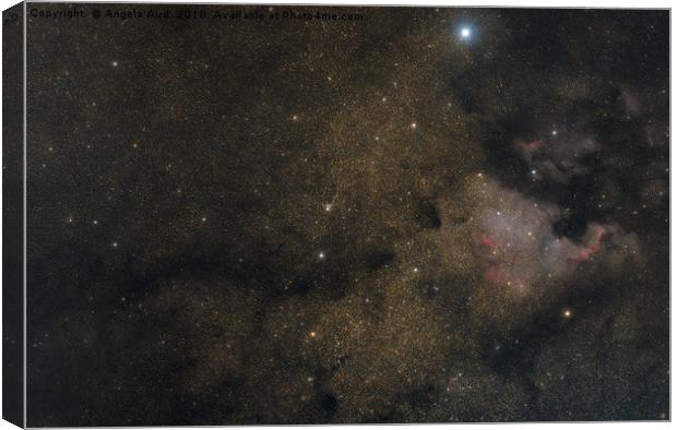 North American Nebula. Canvas Print by Angela Aird