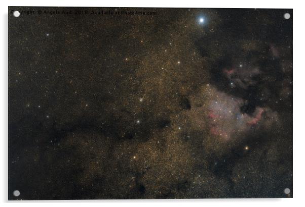 North American Nebula. Acrylic by Angela Aird