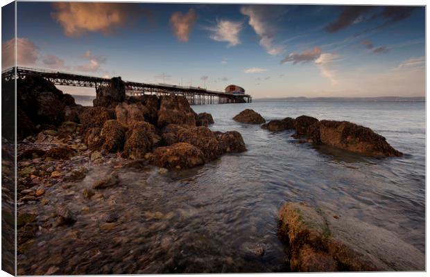 Rocky foreshore at Mumbles pier Canvas Print by Leighton Collins
