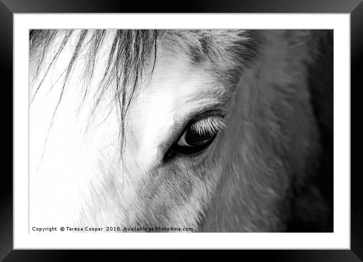 The eye of a white horse - Mirror to the soul Framed Mounted Print by Teresa Cooper