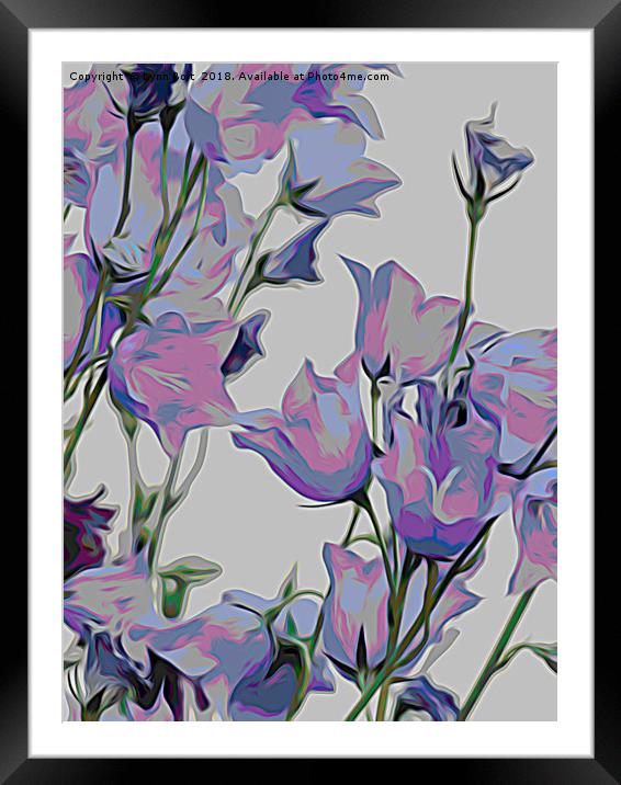 Canterbury Bells Framed Mounted Print by Lynn Bolt