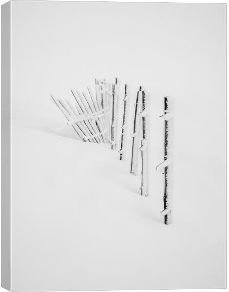 Rime Ice on snow fence  Canvas Print by George Robertson