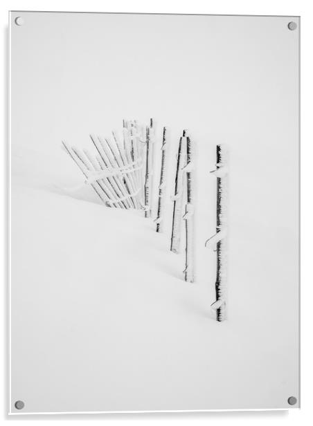 Rime Ice on snow fence  Acrylic by George Robertson