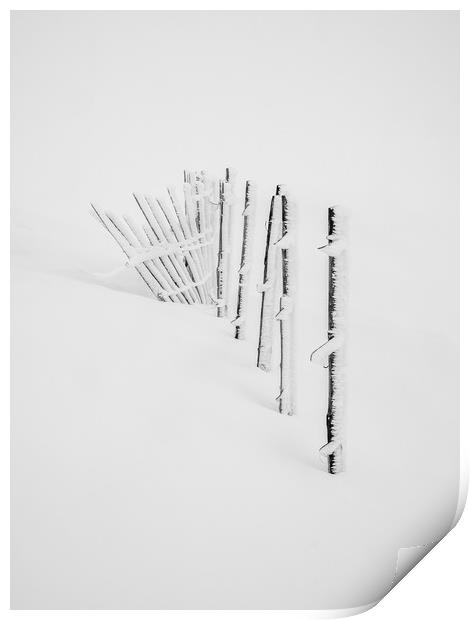 Rime Ice on snow fence  Print by George Robertson