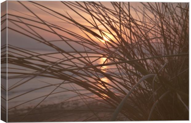 Sunset in the dunes Canvas Print by jason jones