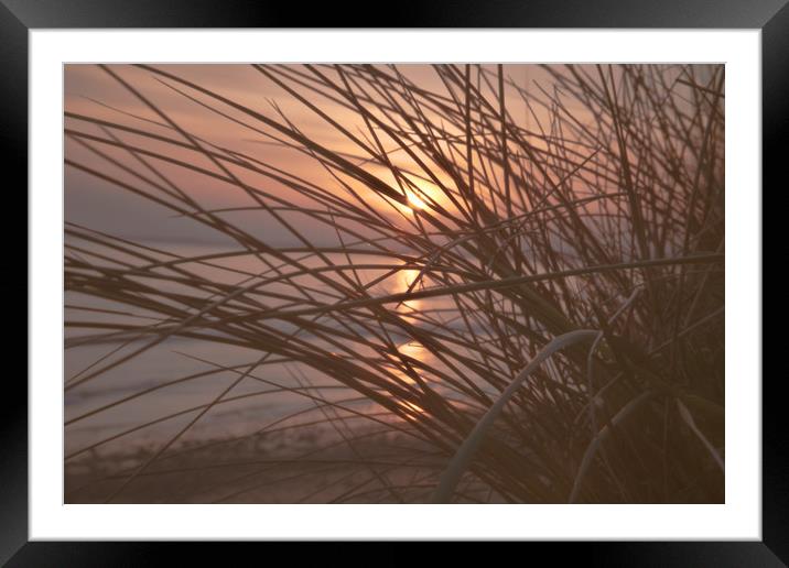 Sunset in the dunes Framed Mounted Print by jason jones
