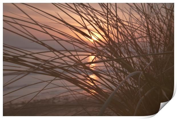 Sunset in the dunes Print by jason jones