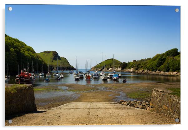 Watermouth Cove North Devon Acrylic by Dave Wilkinson North Devon Ph