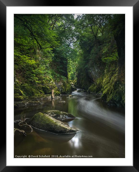Fairy Glen Gorge Betws y Coed Framed Mounted Print by David Schofield