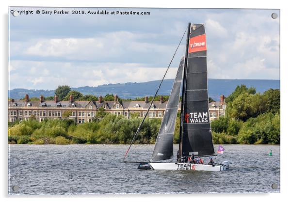 A Team Wales catamaran sails in Cardiff Bay, Wales Acrylic by Gary Parker