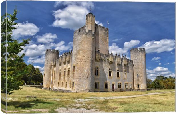 Roquetaillade Castle in Cadillac Canvas Print by Scott Anderson
