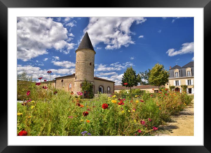 Château Guiraud, Sauternes, France Framed Mounted Print by Scott Anderson