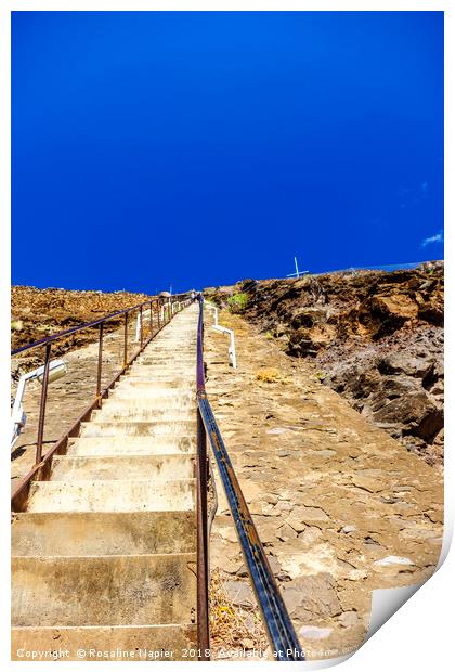 Looking up Jacobs Ladder Print by Rosaline Napier