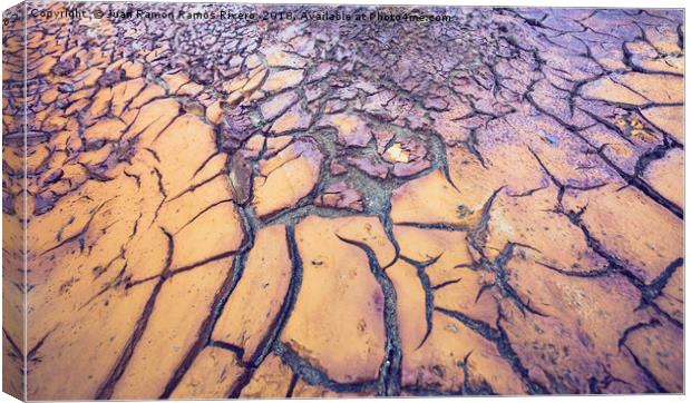 Dry and cracked ground texture of yellow and purpl Canvas Print by Juan Ramón Ramos Rivero