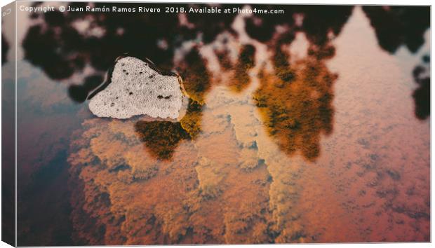 Bubbles on the acid waters of the Rio tinto Canvas Print by Juan Ramón Ramos Rivero