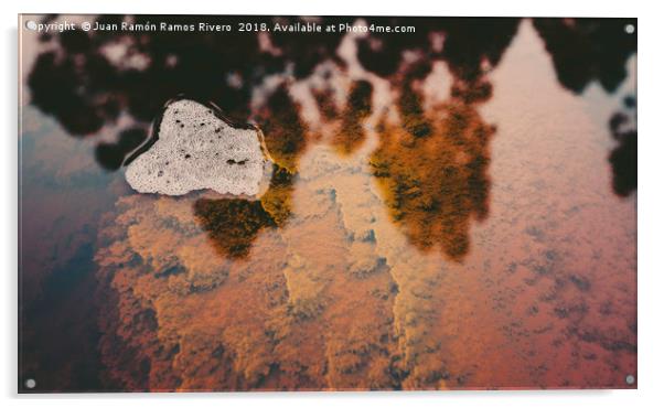 Bubbles on the acid waters of the Rio tinto Acrylic by Juan Ramón Ramos Rivero