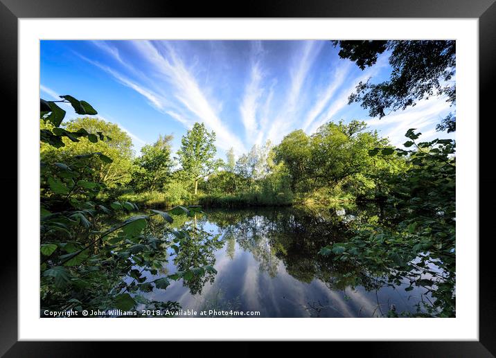 Hatfield Forest Lake England Essex Summer Framed Mounted Print by John Williams