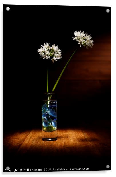 Wild Garlic flower Acrylic by Phill Thornton