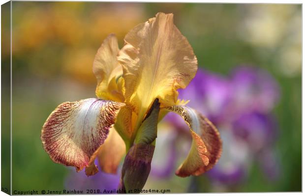 Magic Carpet 1.The Beauty of Irises Canvas Print by Jenny Rainbow
