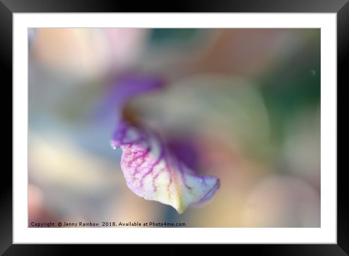 Sensual Touch of Exotic. Orchid I Framed Mounted Print by Jenny Rainbow