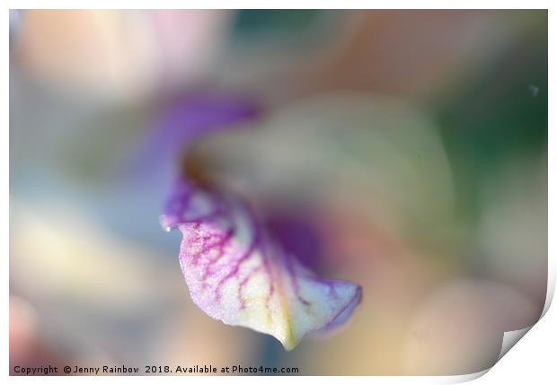 Sensual Touch of Exotic. Orchid I Print by Jenny Rainbow