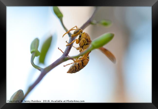 At Work. Busy Bee Framed Print by Jenny Rainbow