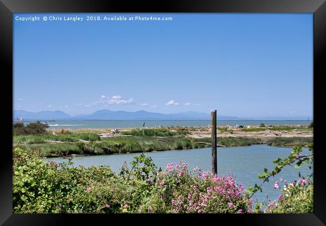 Edge of the Fraser River Delta  Framed Print by Chris Langley