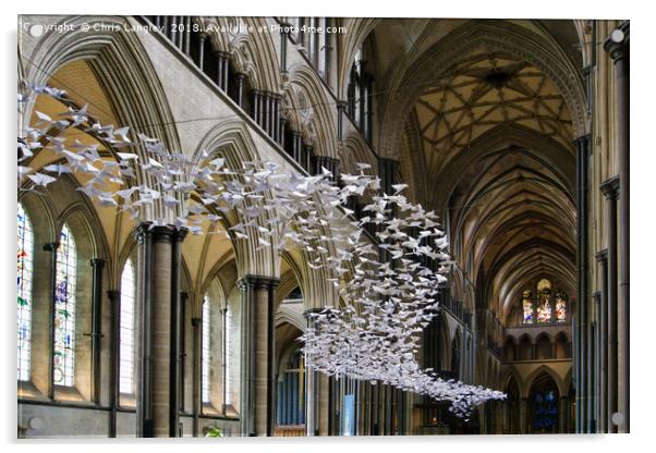 Origami Doves in Salisbury Cathedral Acrylic by Chris Langley